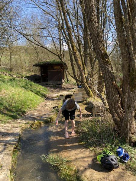 Ferienwohnung Wertevoll Welschbillig Bagian luar foto